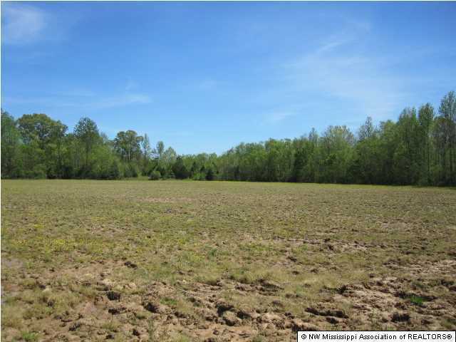 320 Red Hills Road Byhalia, MS 38611 - Photo 11 of 30 Additional Photo