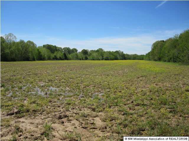 320 Red Hills Road Byhalia, MS 38611 - Photo 12 of 30 Additional Photo