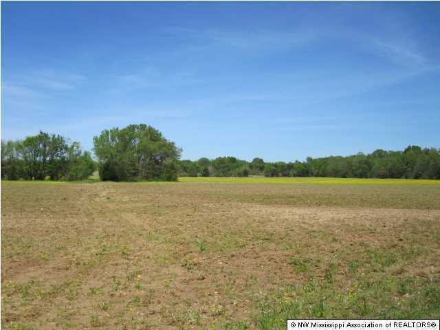 320 Red Hills Road Byhalia, MS 38611 - Photo 13 of 30 Additional Photo