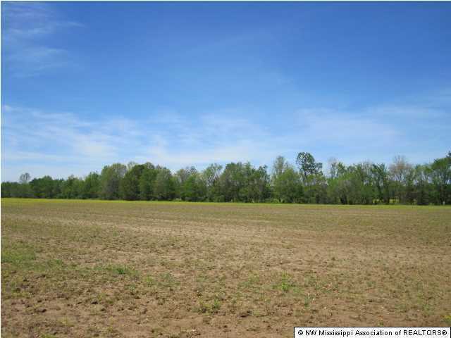 320 Red Hills Road Byhalia, MS 38611 - Photo 14 of 30 Additional Photo
