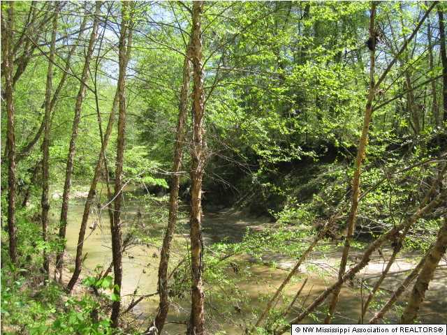 320 Red Hills Road Byhalia, MS 38611 - Photo 15 of 30 Additional Photo
