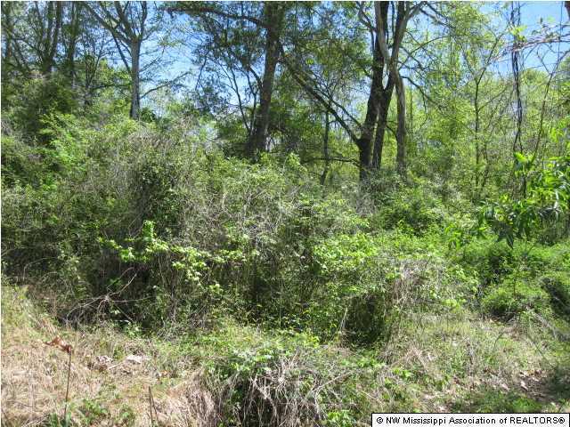320 Red Hills Road Byhalia, MS 38611 - Photo 16 of 30 Additional Photo