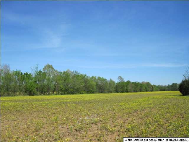 320 Red Hills Road Byhalia, MS 38611 - Photo 17 of 30 Additional Photo