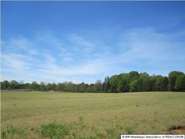 320 Red Hills Road Byhalia, MS 38611 - Photo 19 of 30 Additional Photo
