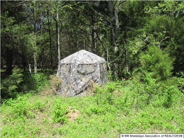 320 Red Hills Road Byhalia, MS 38611 - Photo 20 of 30 Additional Photo
