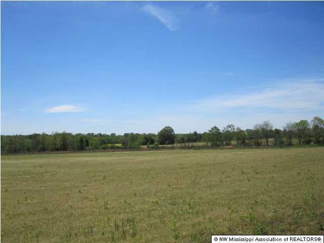 320 Red Hills Road Byhalia, MS 38611 - Photo 21 of 30 Additional Photo