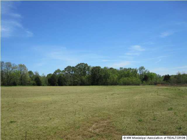 320 Red Hills Road Byhalia, MS 38611 - Photo 22 of 30 Additional Photo