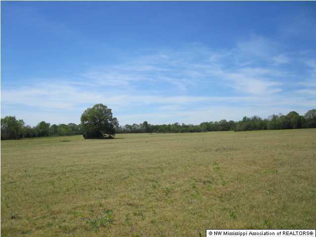 320 Red Hills Road Byhalia, MS 38611 - Photo 23 of 30 Additional Photo