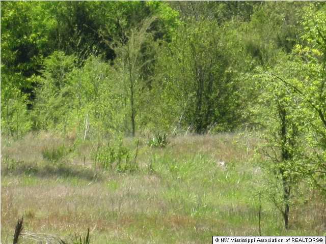 320 Red Hills Road Byhalia, MS 38611 - Photo 24 of 30 Additional Photo