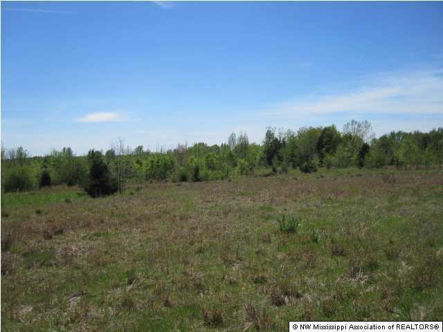 320 Red Hills Road Byhalia, MS 38611 - Photo 26 of 30 Additional Photo