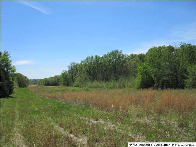320 Red Hills Road Byhalia, MS 38611 - Photo 28 of 30 Additional Photo