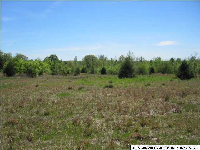 320 Red Hills Road Byhalia, MS 38611 - Photo 29 of 30 Additional Photo