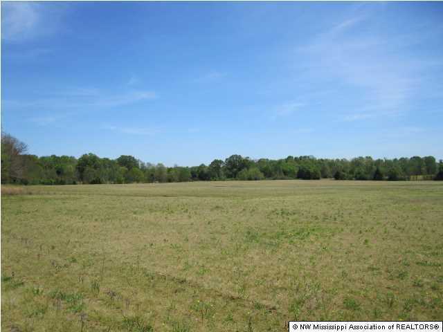 320 Red Hills Road Byhalia, MS 38611 - Photo 4 of 30 Additional Photo