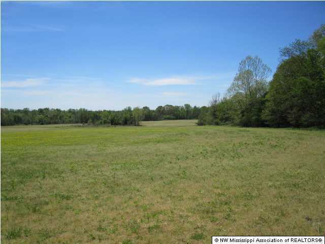 320 Red Hills Road Byhalia, MS 38611 - Photo 5 of 30 Additional Photo