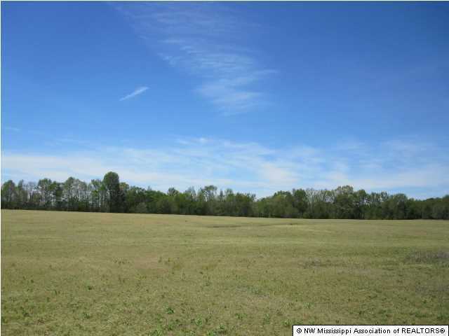 320 Red Hills Road Byhalia, MS 38611 - Photo 7 of 30 Additional Photo
