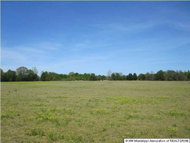 320 Red Hills Road Byhalia, MS 38611 - Photo 8 of 30 Additional Photo