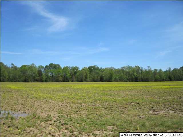 320 Red Hills Road Byhalia, MS 38611 - Photo 9 of 30 Additional Photo