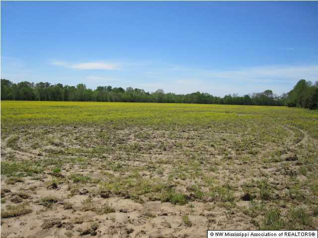 320 Red Hills Road Byhalia, MS 38611 - Photo 10 of 30 Additional Photo