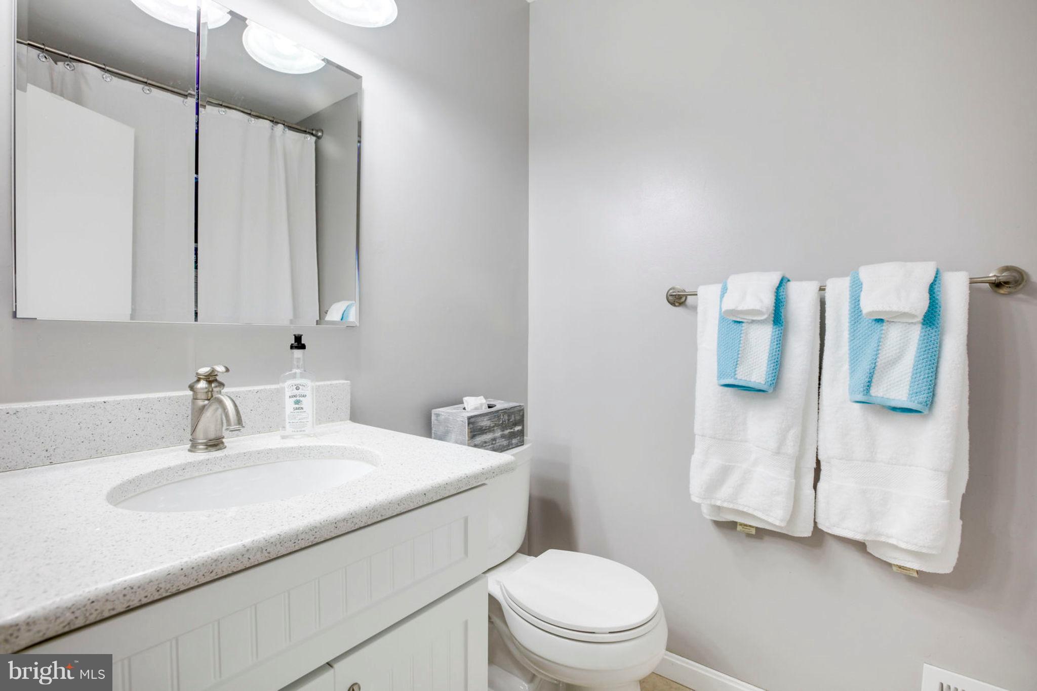 8094 Sleepy View Lane Springfield, VA 22153 - Photo 46 of 76 Upstairs Bathroom #1