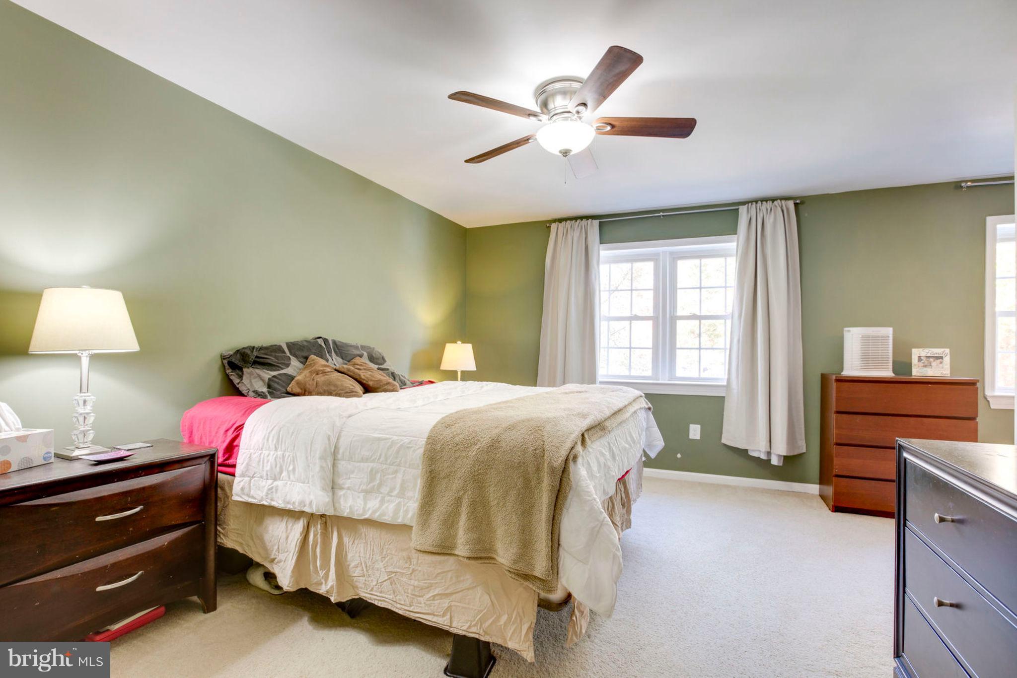 8094 Sleepy View Lane Springfield, VA 22153 - Photo 48 of 76 Master Bedroom