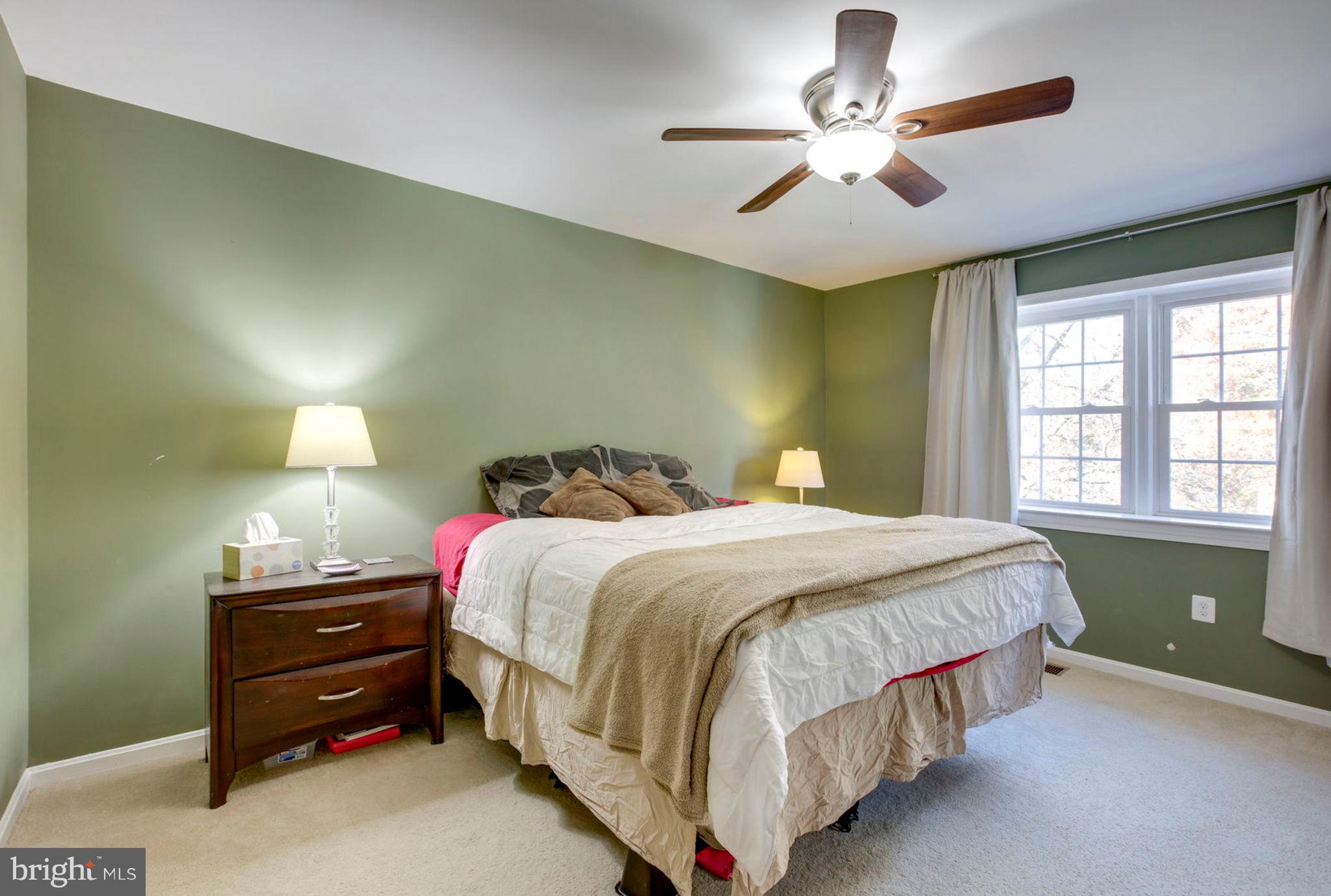 8094 Sleepy View Lane Springfield, VA 22153 - Photo 50 of 76 Master Bedroom