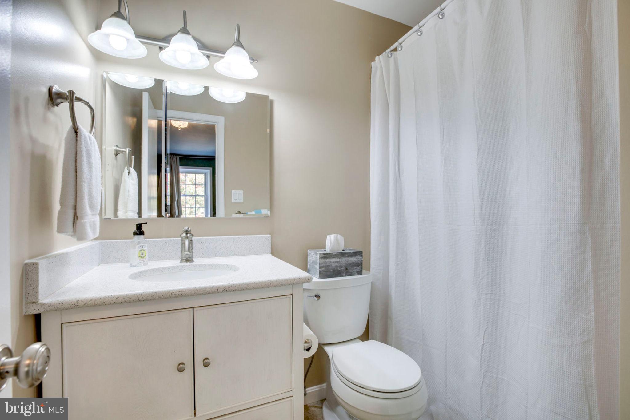 8094 Sleepy View Lane Springfield, VA 22153 - Photo 56 of 76 Master Bath