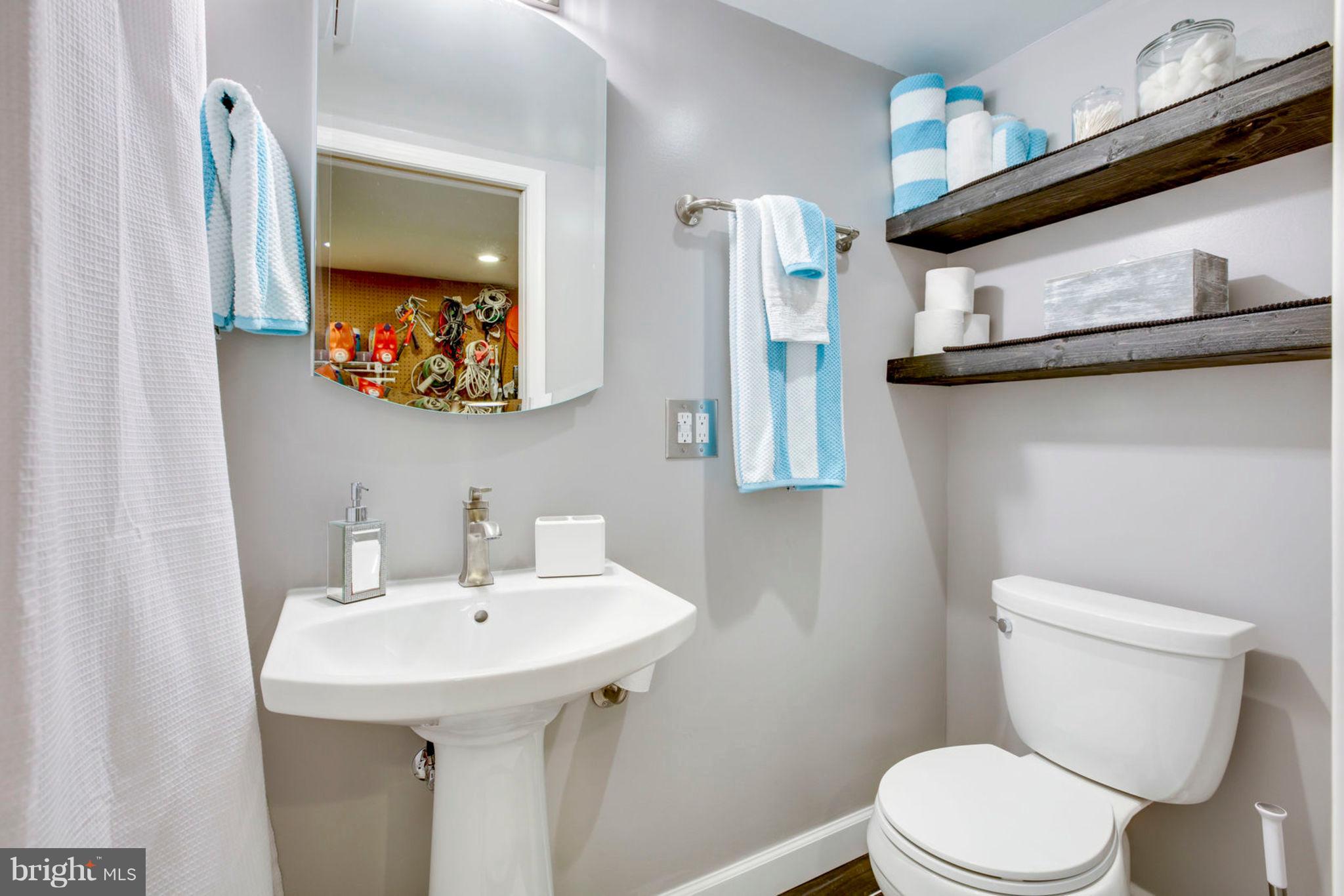 8094 Sleepy View Lane Springfield, VA 22153 - Photo 67 of 76 Brand new Lower level Full bath