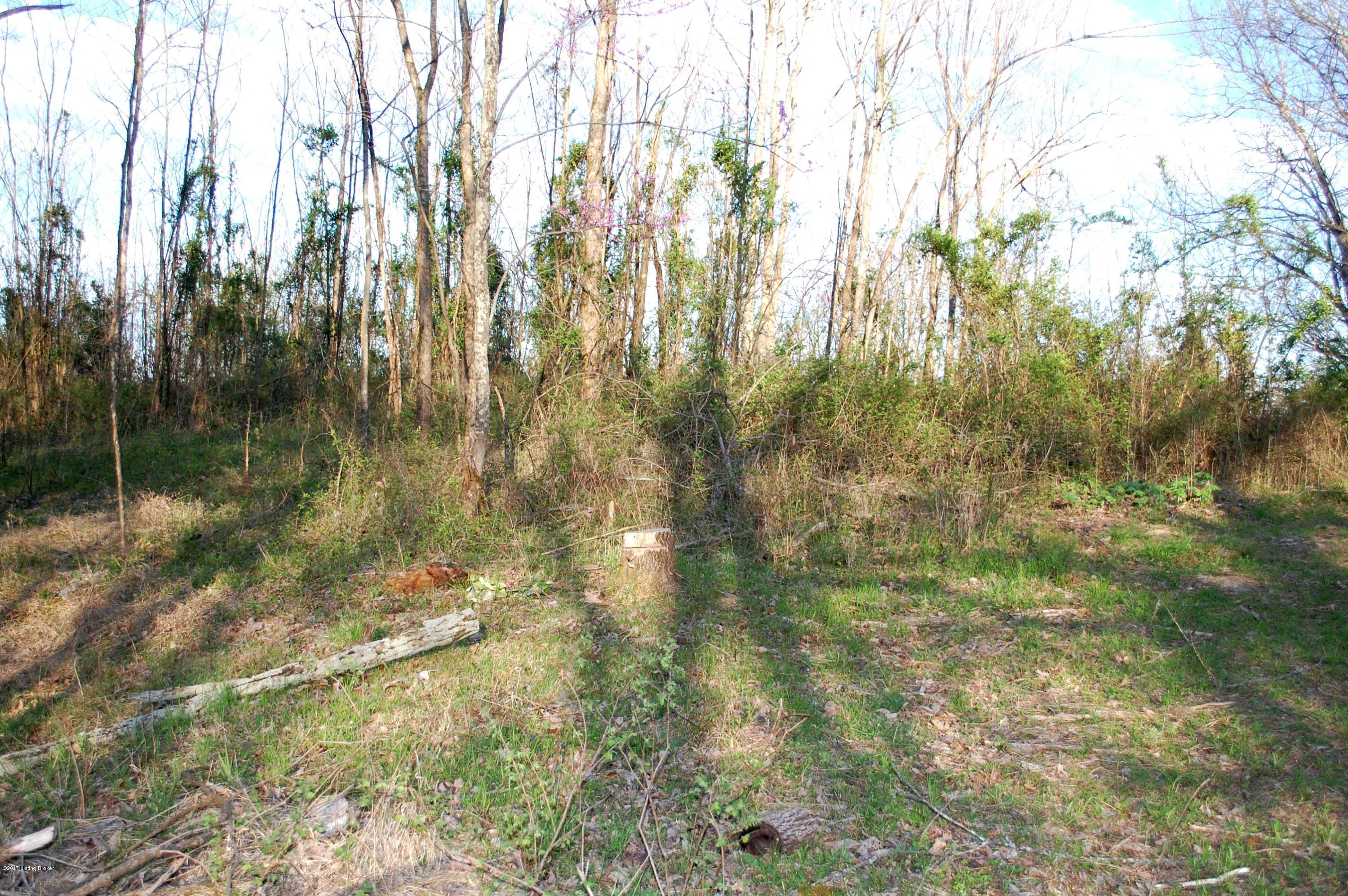 1 Bentley Road Mount Eden, KY 40046 - Photo 6 of 7 5