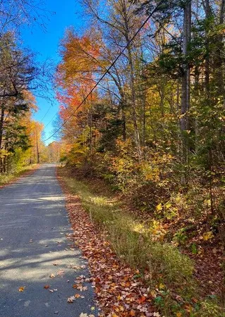 $172,500 | M16 L17 18 19 Edelheid Road, Sandy River Plt, ME 04970