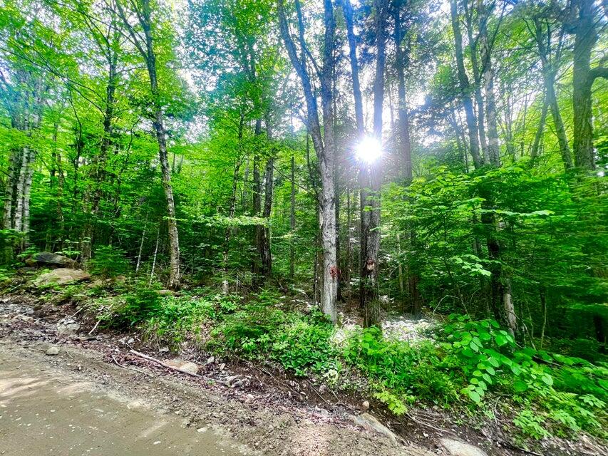 M16 L17 18 19 Edelheid Road Sandy River Plt, ME 04970 - Photo 2 of 12 Lightly Wooded