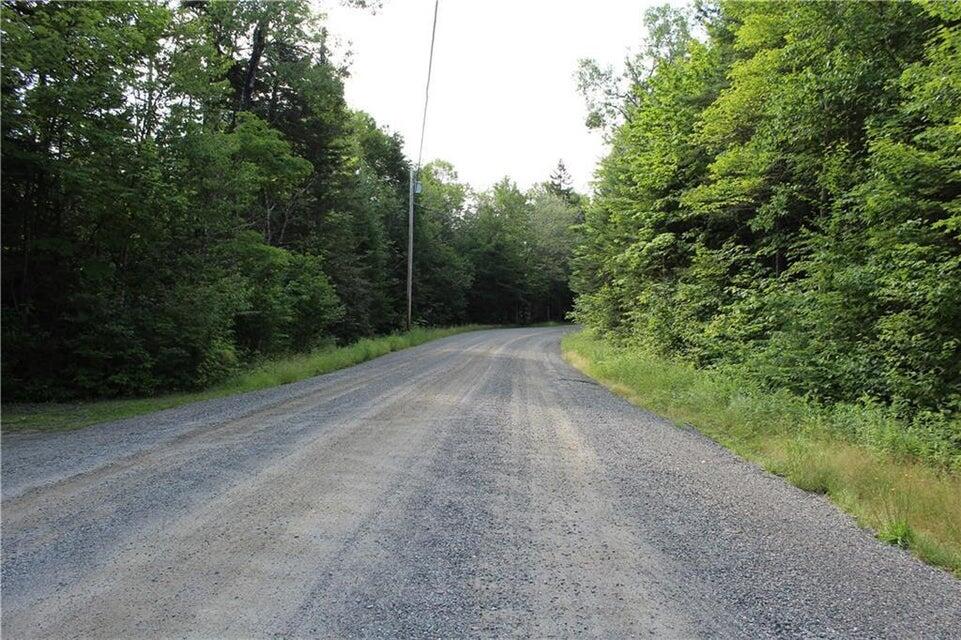 M16 L17 18 19 Edelheid Road Sandy River Plt, ME 04970 - Photo 7 of 12 Town Road