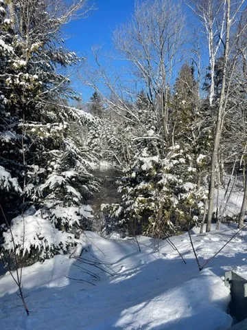 $172,500 | M16 L17 18 19 Edelheid Road, Sandy River Plt, ME 04970