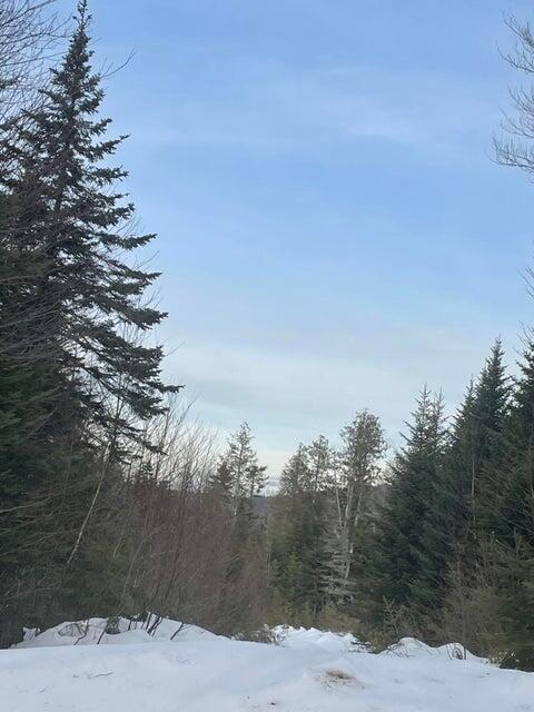 M16 L17 18 19 Edelheid Road Sandy River Plt, ME 04970 - Photo 9 of 12 Potential MTN Views