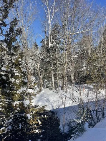 $172,500 | M16 L17 18 19 Edelheid Road, Sandy River Plt, ME 04970