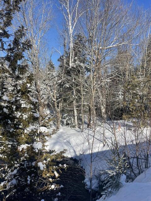 M16 L17 18 19 Edelheid Road Sandy River Plt, ME 04970 - Photo 10 of 12 Wooded