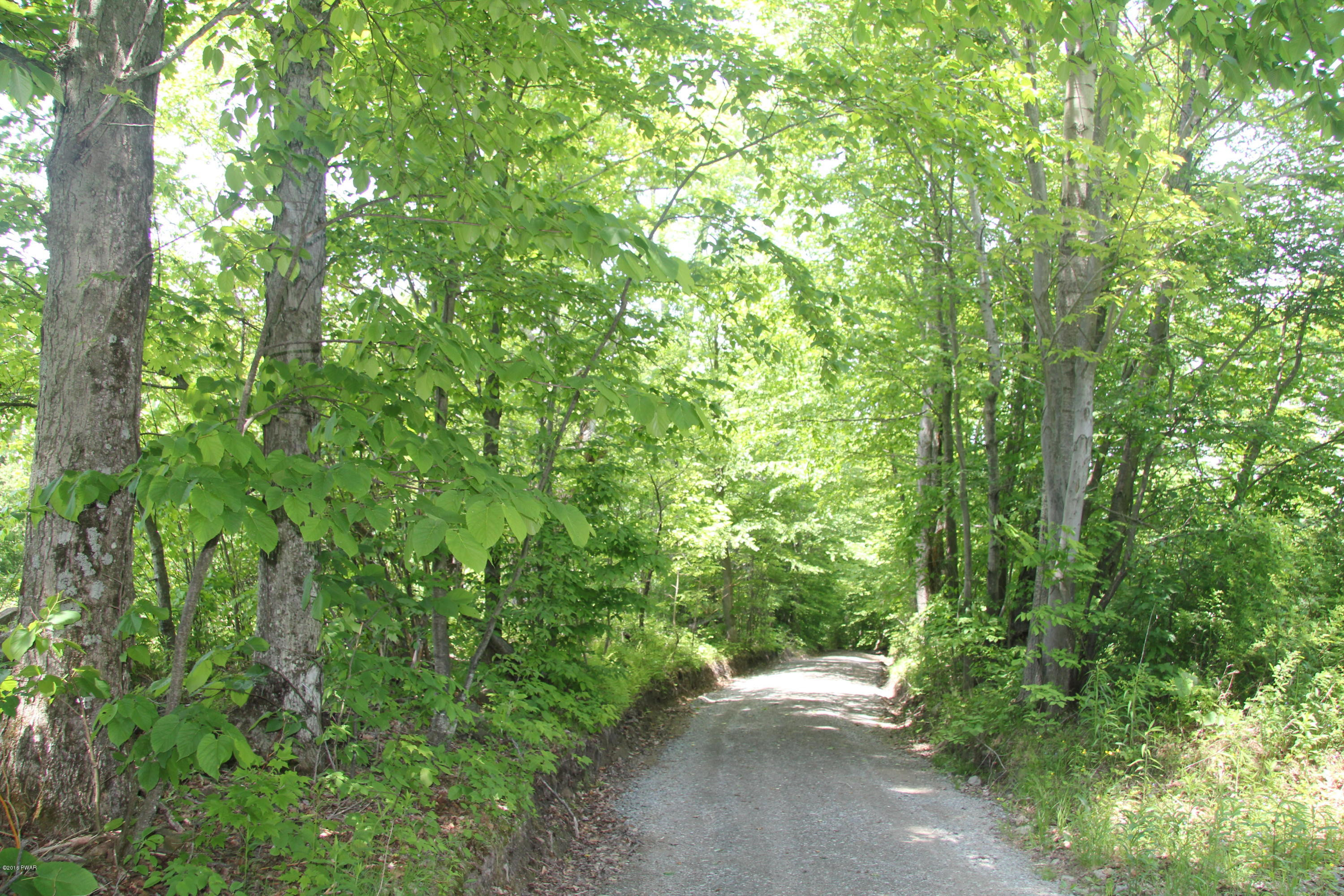 Leonard Road Pleasant Mount, PA 18453 - Photo 15 of 18 Drive In