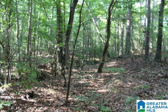 1 Benefield Gap Road Attalla, AL 35954 - Photo 37 of 50