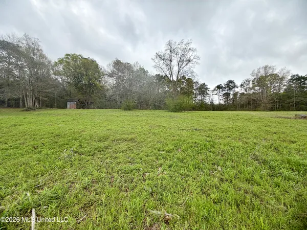 $58,500 | 0 Palestine Road, Picayune, MS 39466