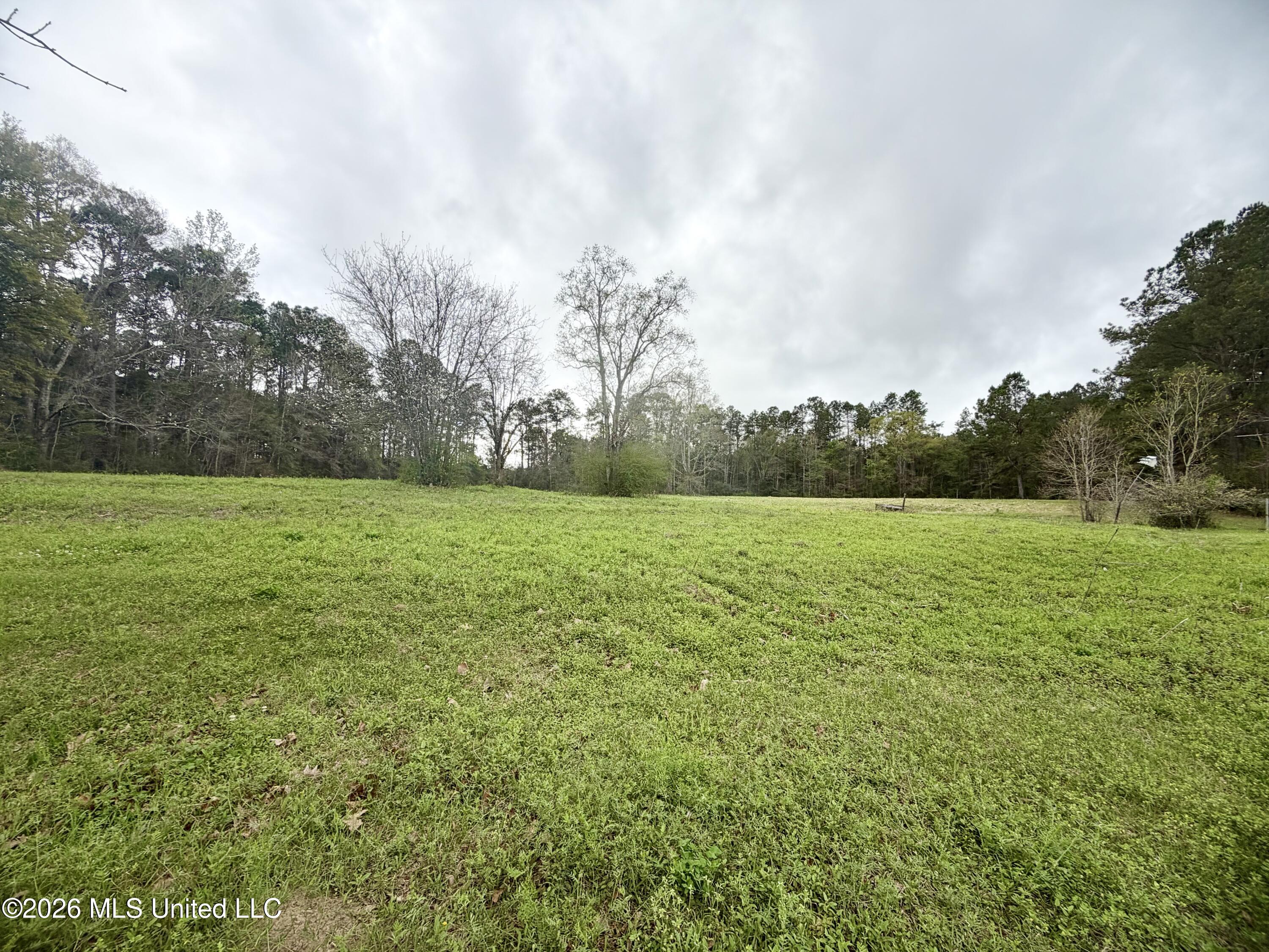 0 Palestine Road Picayune, MS 39466 - Photo 2 of 6 IMG_9709