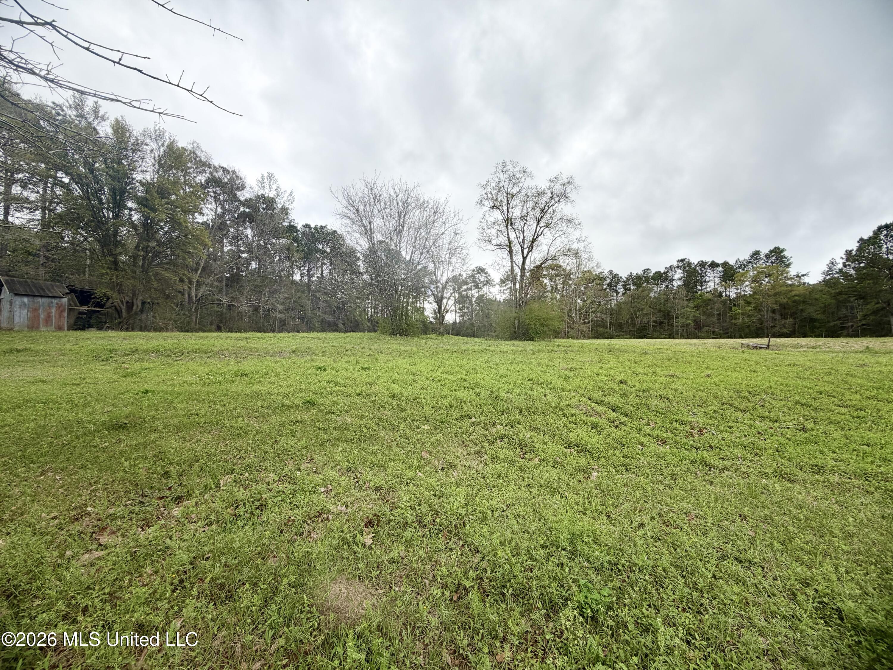 0 Palestine Road Picayune, MS 39466 - Photo 3 of 6 IMG_9708