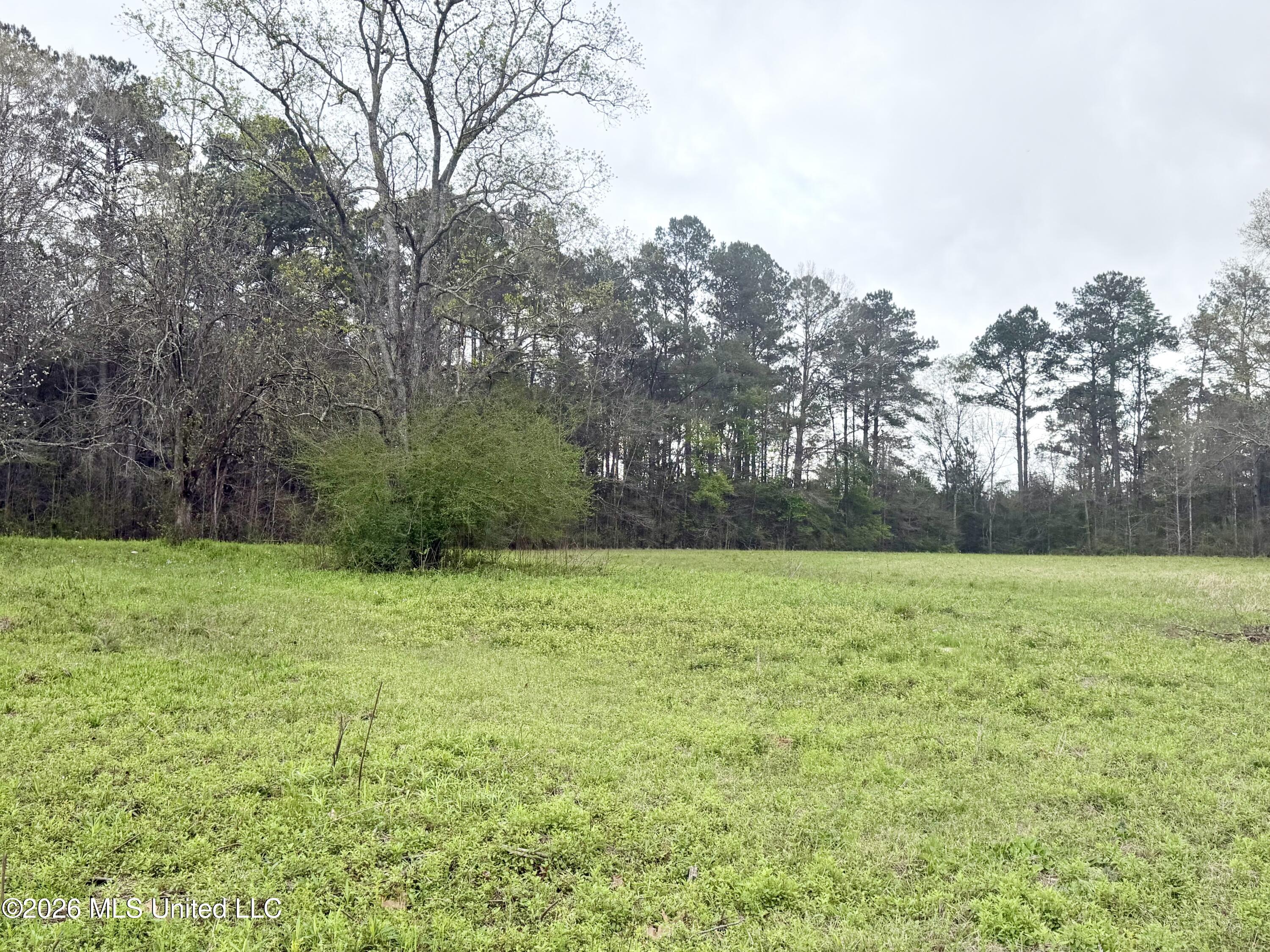 0 Palestine Road Picayune, MS 39466 - Photo 4 of 6 IMG_9705