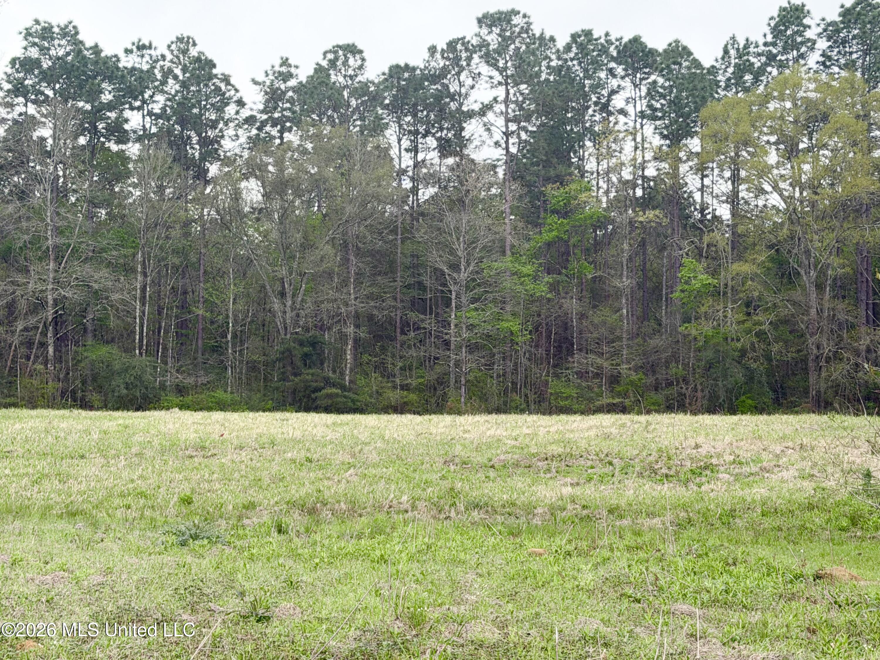 0 Palestine Road Picayune, MS 39466 - Photo 5 of 6 IMG_9706