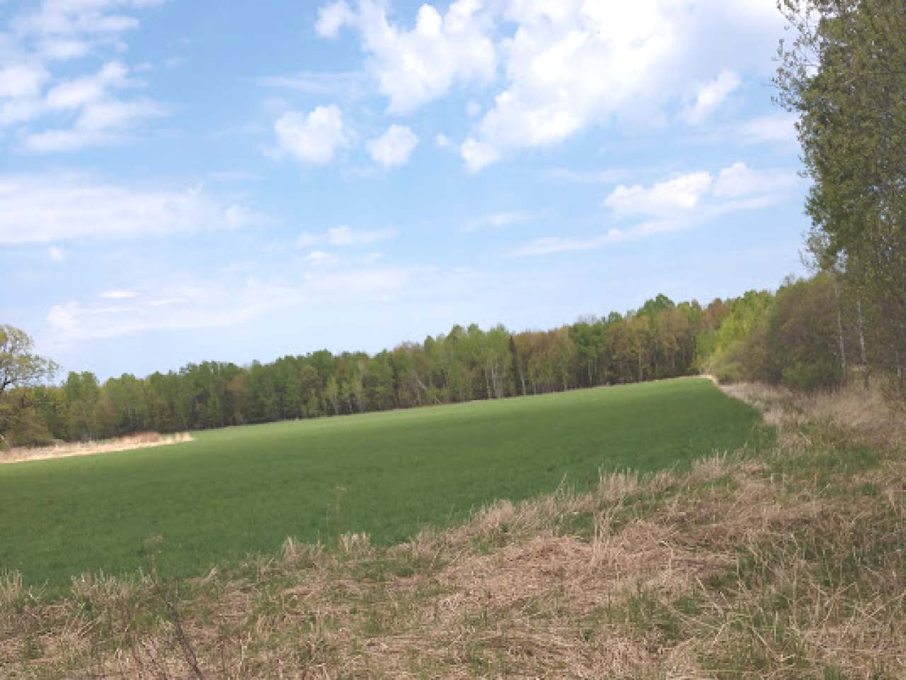 40-acres Vascheau Road Gleason, WI 54435 - Photo 2 of 4 Gallery Image 2