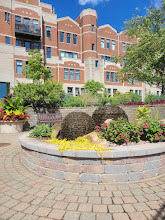 7738 North Sheridan Road, Unit 4L Chicago, IL 60626 - Photo 23 of 30 a view of a houses with a pathway and a yard