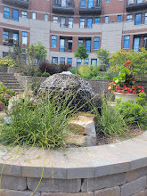 7738 North Sheridan Road, Unit 4L Chicago, IL 60626 - Photo 30 of 30 a view of a garden with a pathway and a building