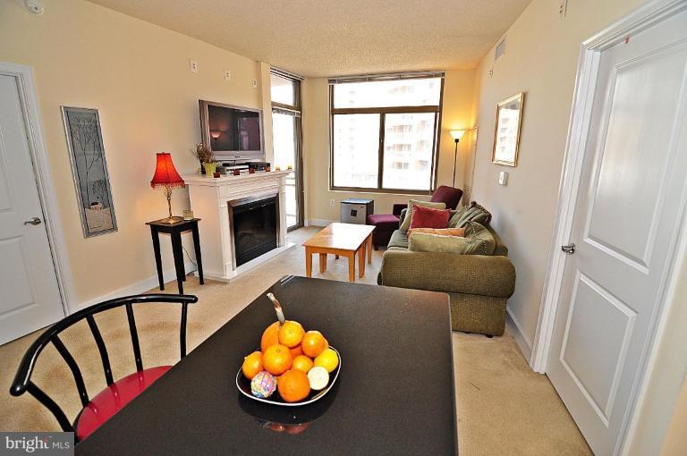 3600 South Glebe Road, Unit 421W Arlington, VA 22202 - Photo 22 of 29 Living Room #3