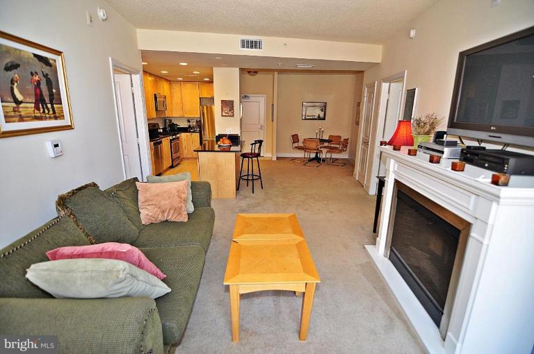 3600 South Glebe Road, Unit 421W Arlington, VA 22202 - Photo 26 of 29 Living Room #2