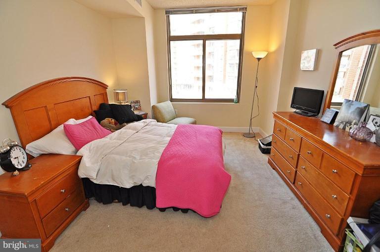 3600 South Glebe Road, Unit 421W Arlington, VA 22202 - Photo 27 of 29 Master Bedroom