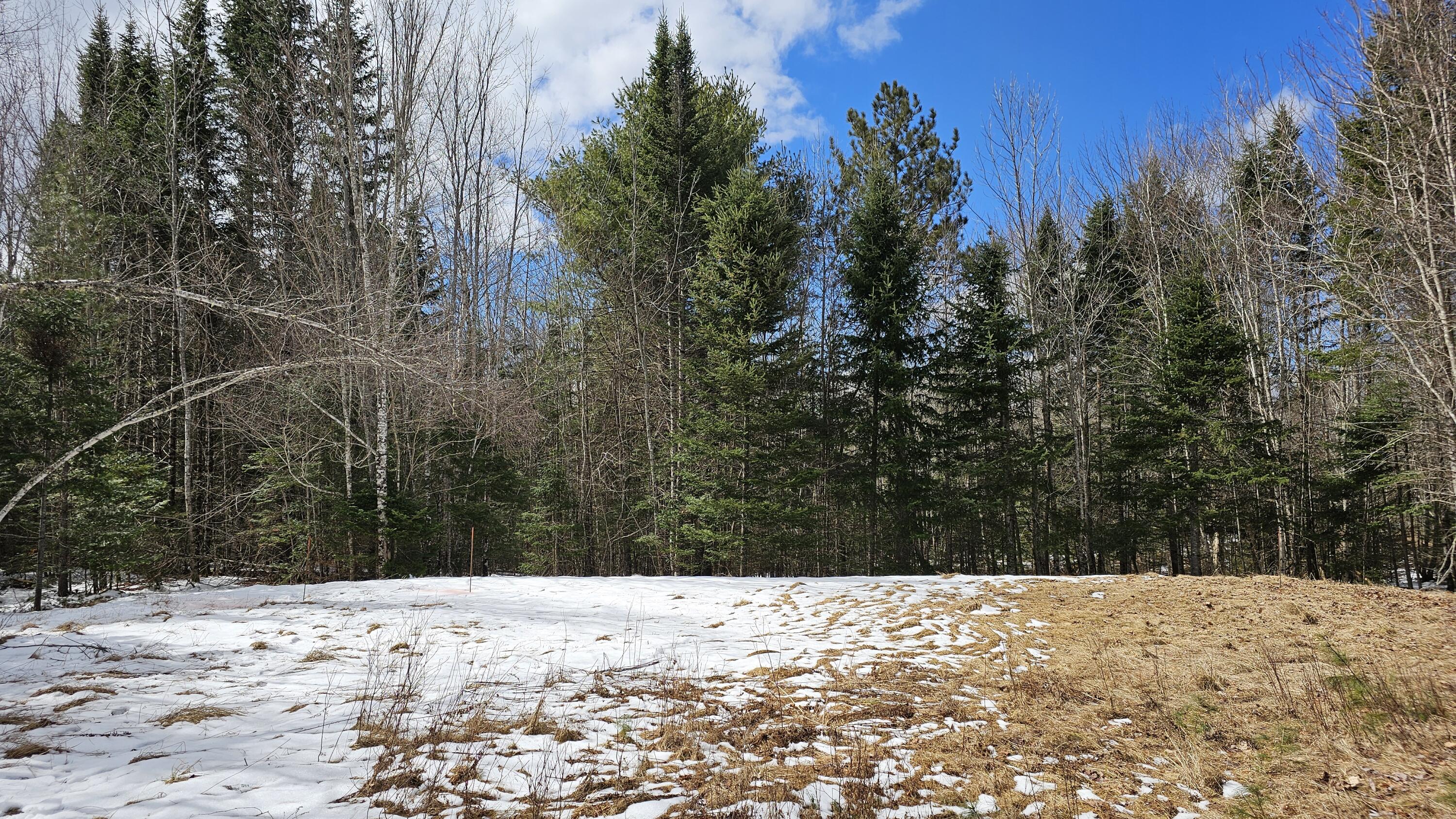 Lot #92 Smith Road Ellsworth, ME 04605 - Photo 3 of 18 30.9 Acres