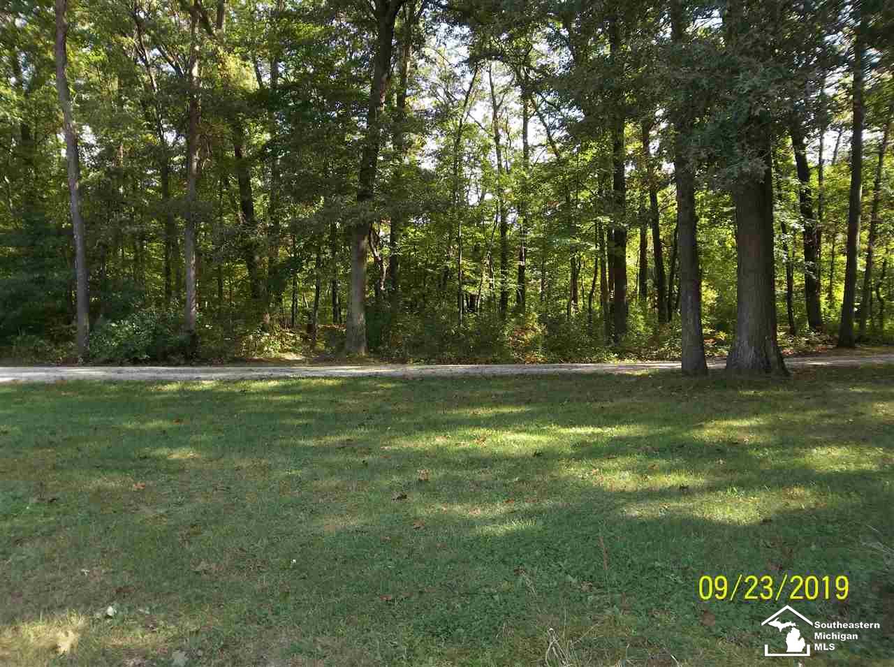 14942 Albain Road Petersburg, MI 49270 - Photo 37 of 43